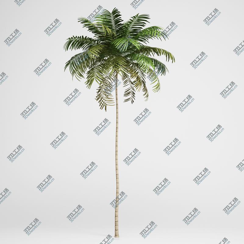 images/goods_img/20210319/CGAxis Models Volume 15 Exotic Plants/2.jpg